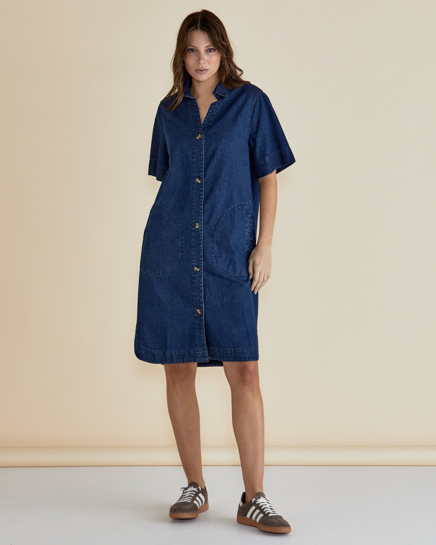 Dawson Denim Dress